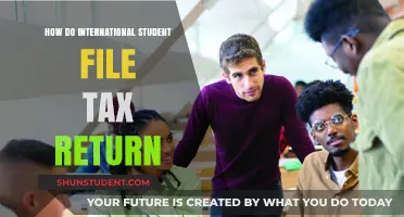 International Students: File Tax Returns Easily