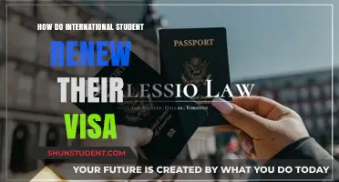 Visa Renewal Guide for International Students