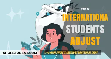 Adjusting Abroad: International Students' Guide to Settling In