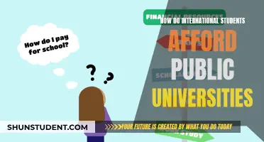 Funding Options for International Students at Public Universities