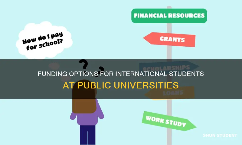 how do international students afford public universities