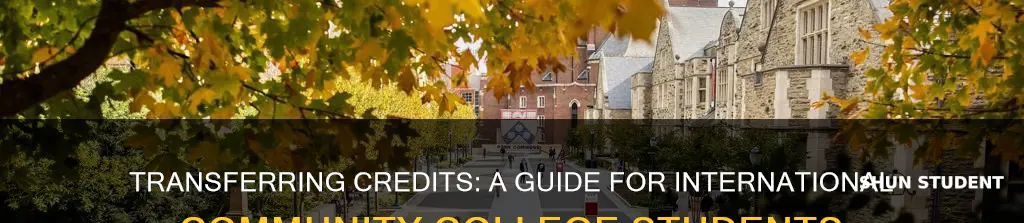 how do international students apply for transfer credits community college