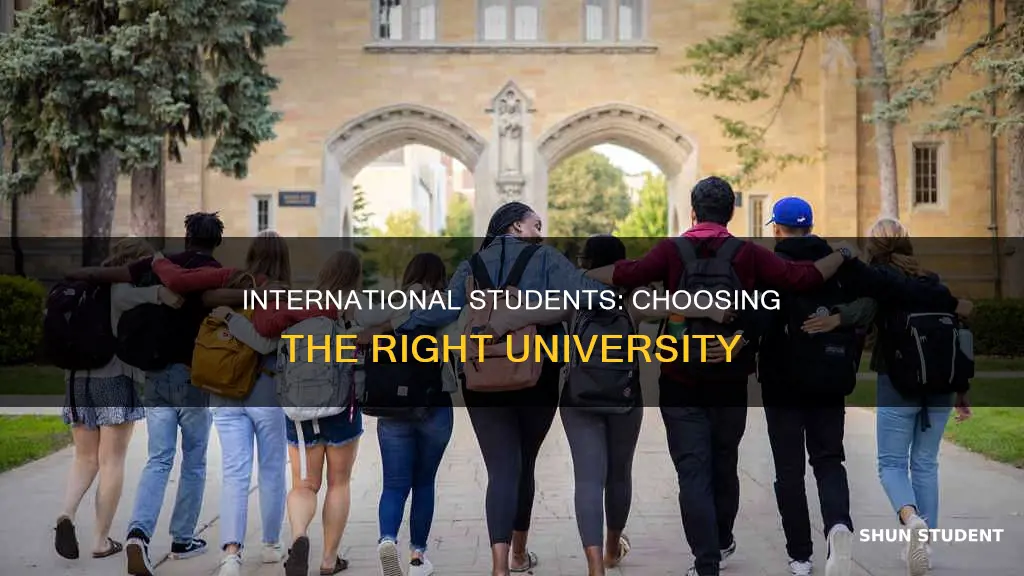 how do international students choose a university