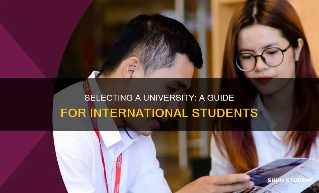 how do international students choose a university