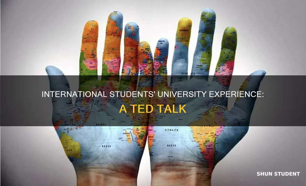 how do international students feel in university ted talk