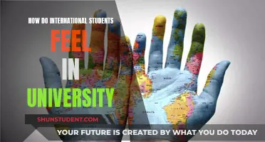 International Students' University Experience: An Emotional Journey