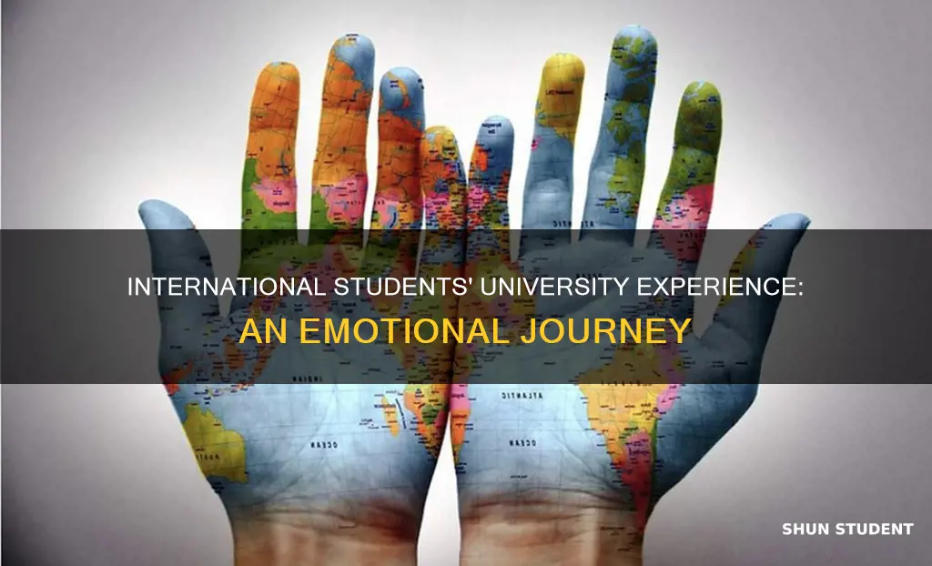 how do international students feel in university