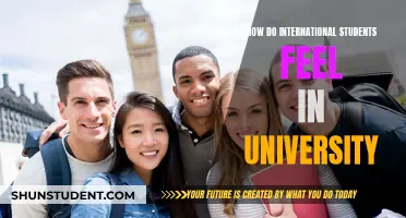 International Students: University Life and Feelings
