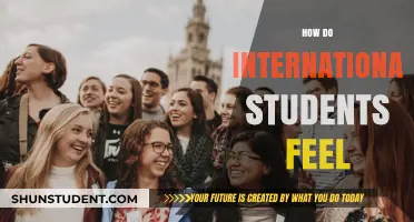 International Students: Their Emotional Journey Abroad