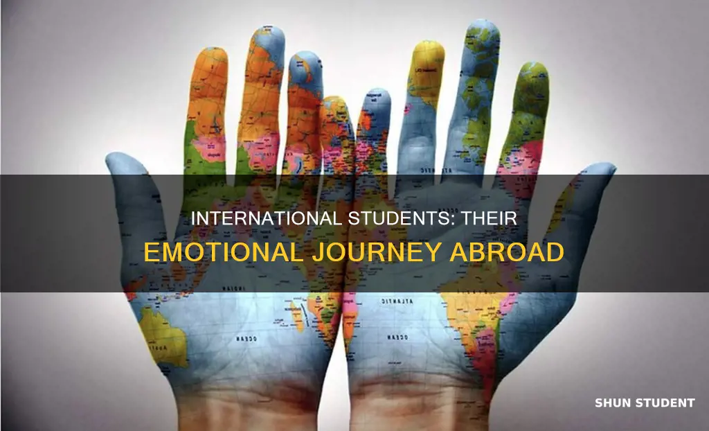 how do international students feel
