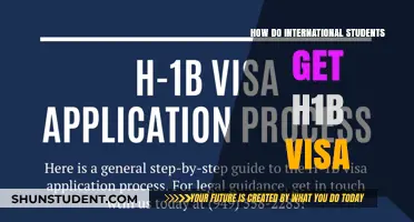International Students: H-1B Visa Guide