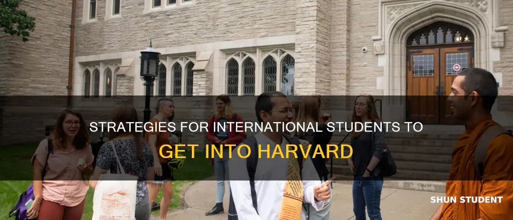 how do international students get into harvard