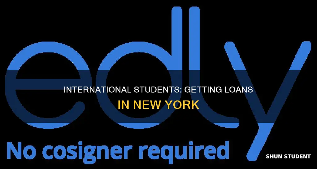 how do international students get loans in new york