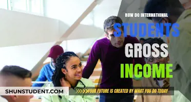 International Students: Earning Income, Gaining Experience