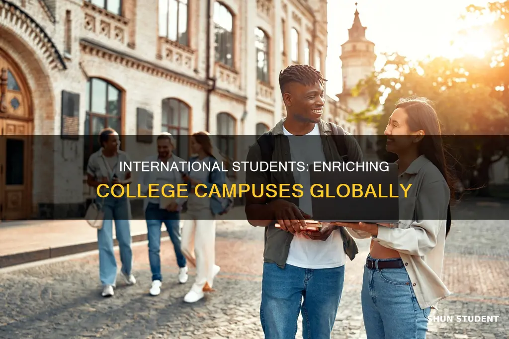 how do international students impact college campus