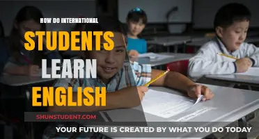Mastering English: International Students' Strategies