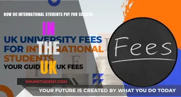 International Students: Funding UK College