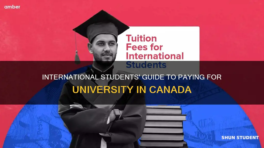 how do international students pay for university in canada