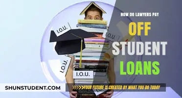 Lawyers' Student Debt: Strategies for Repayment
