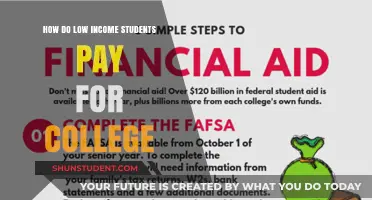 Navigating College Finances: Low-Income Student Strategies
