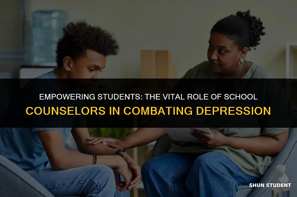 how do school counselors help students with depression