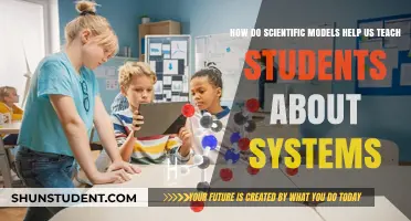 Scientific Models: Unlocking Systems Understanding in Student Education