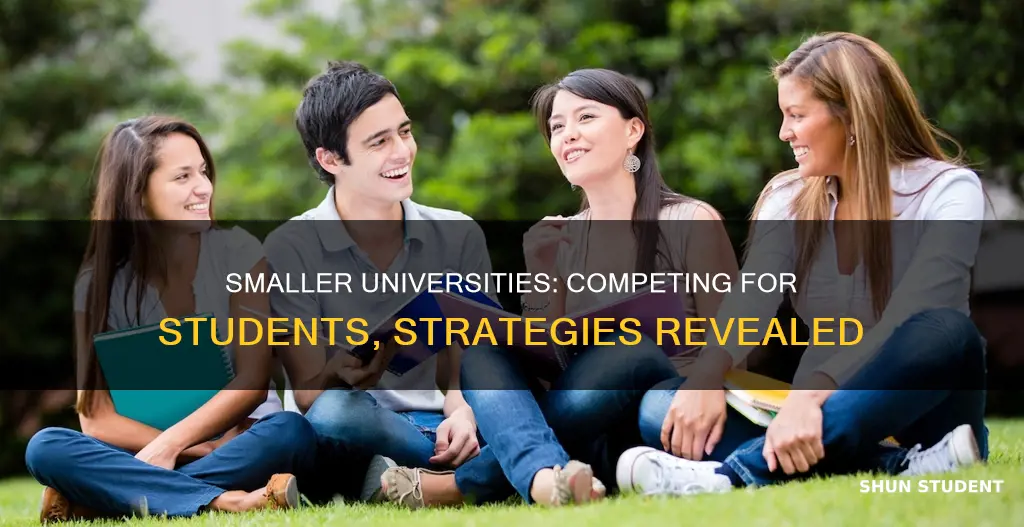 how do smaller universities compete for students