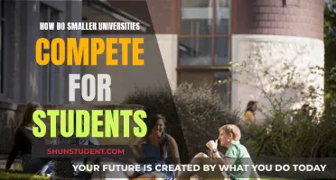 Smaller Universities: Strategies to Attract Students