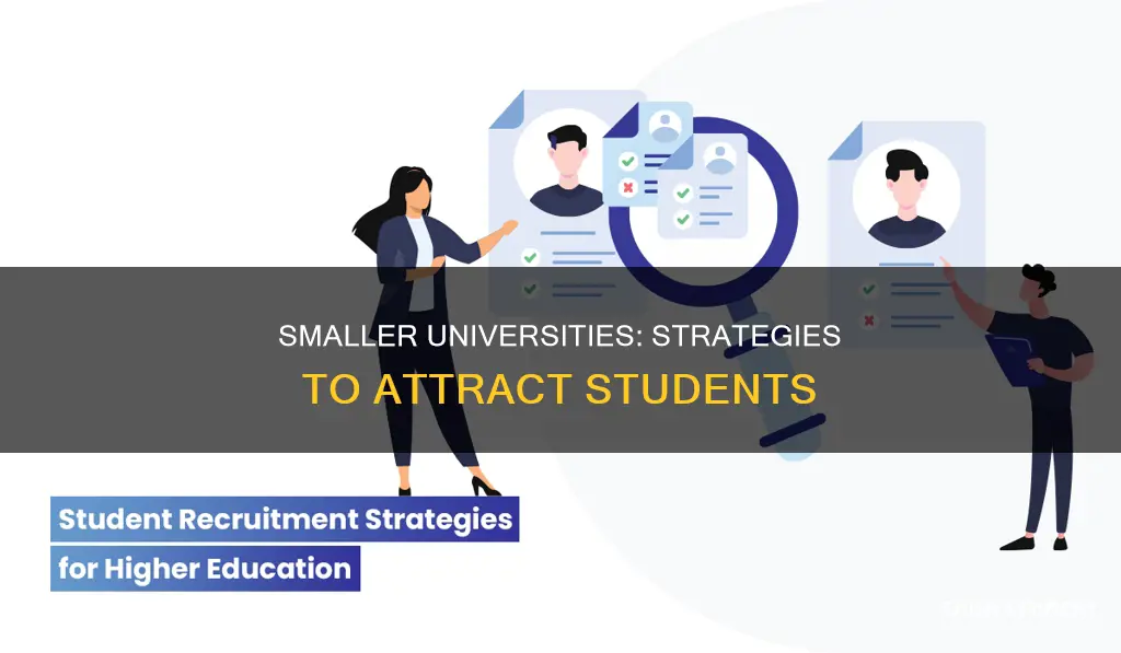 how do smaller universities compete for students
