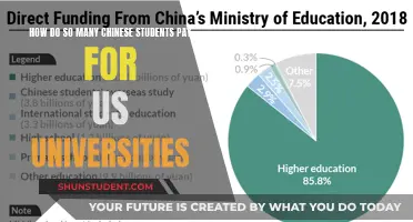 Funding Chinese Students' US University Dreams