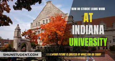 Understanding Student Loans at Indiana University