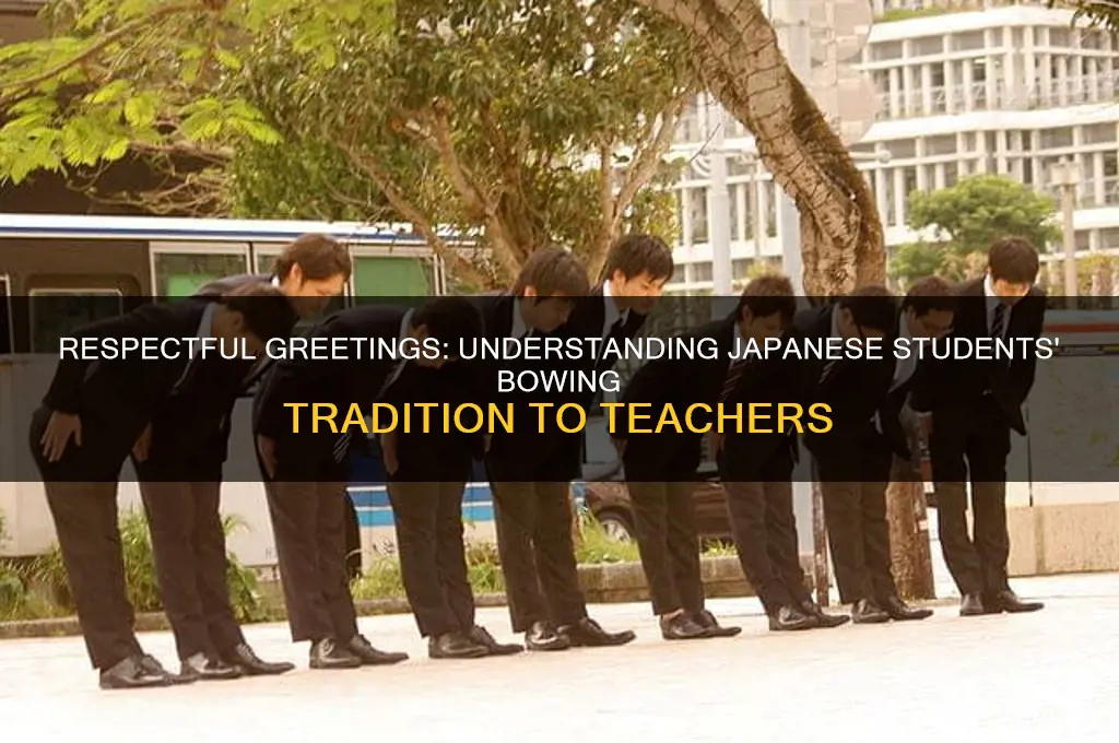 how do students bow to the teacher in japan