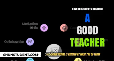 What Makes a Great Teacher? Students Share Their Insights