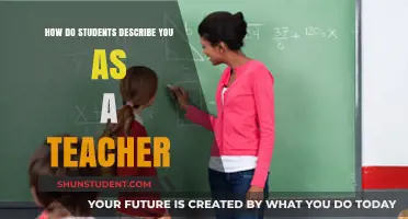 How Students Perceive Me: A Teacher's Reflection on Classroom Impact