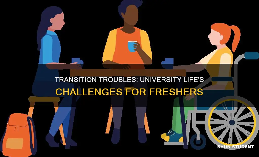 how do students experience the transition to university life