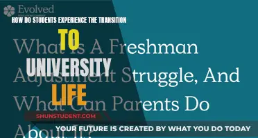 University Life Transition: Student Experiences and Challenges