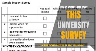 Student Sentiment: University Surveys