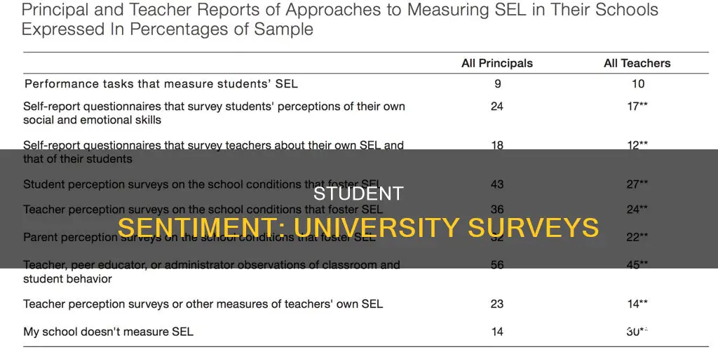 how do students feel about this university survey