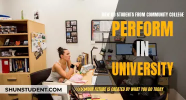 Community College Students' University Performance