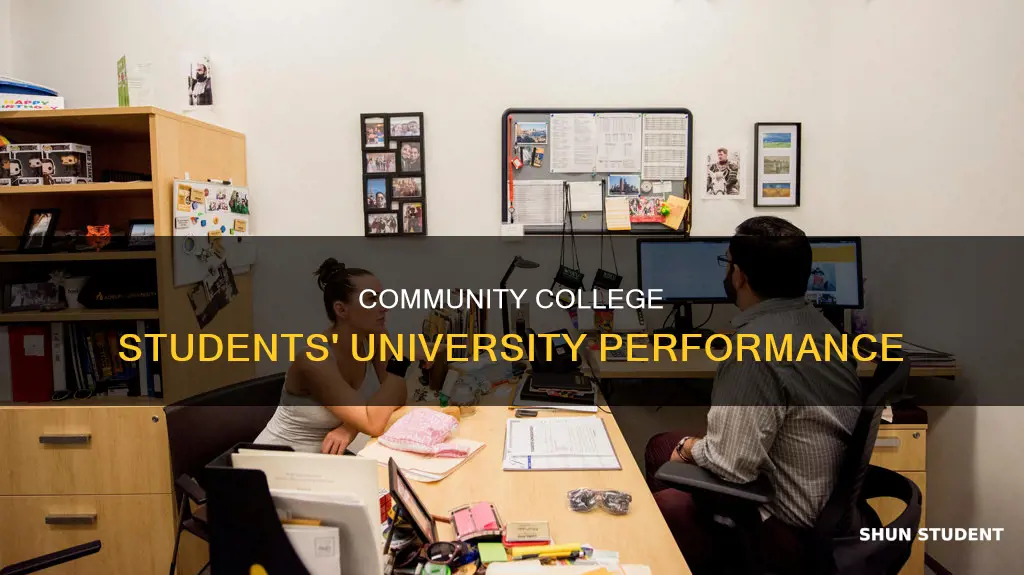 how do students from community college perform in university