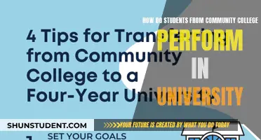 Community College Students: University Performance Factors