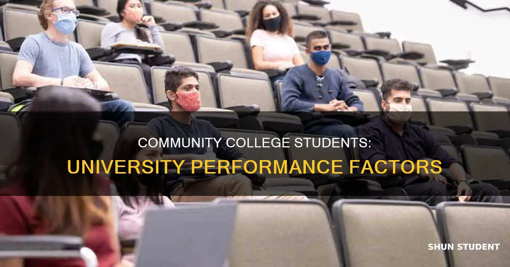 how do students from community college perform in university