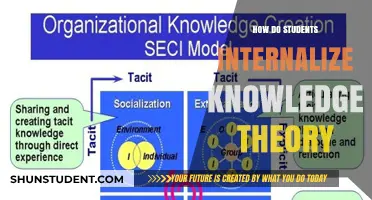 Students' Knowledge Internalization: A Theory-Based Approach