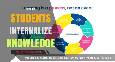 Learning Strategies: Internalizing Knowledge for Students