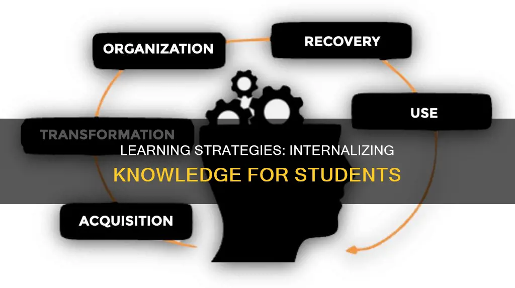 how do students internalize knowledge