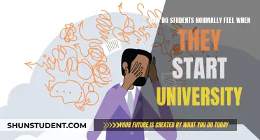 Embracing the University Experience: A Student's Emotional Journey