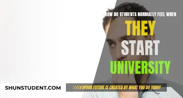 Freshers' Feelings: Navigating the University Transition
