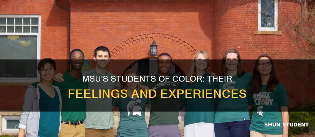 how do students of color feel about michigan state university