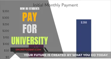 Funding University: Student Payment Options Explored