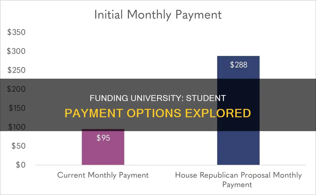 how do students pay for university